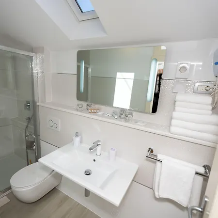 Gothic Palace Heritage Pensionat