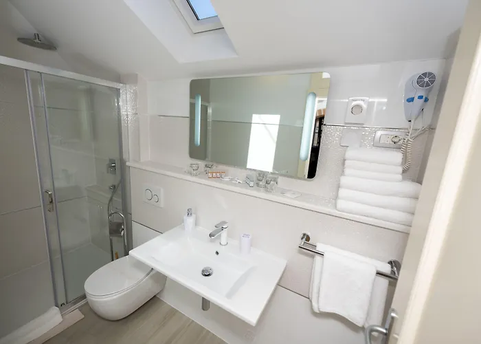 Gothic Palace Heritage בית הארחה