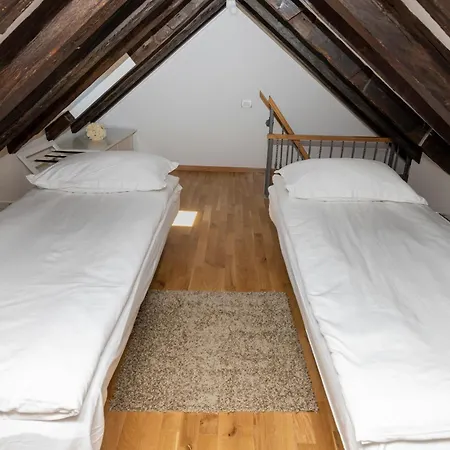 Pensionat Gothic Palace Heritage 4*