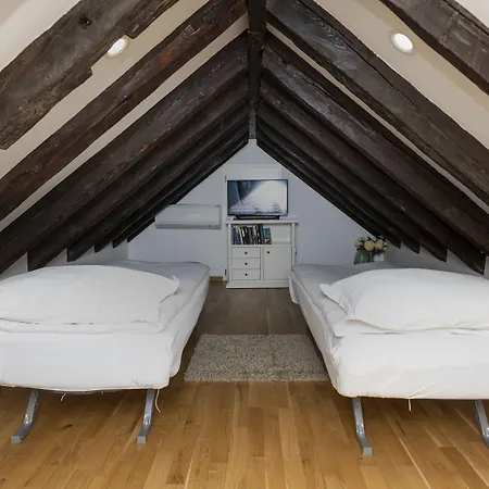 招待所 Gothic Palace Heritage